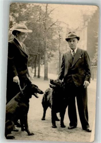 Mann und Frau mit zwei Hunden auf einem Spaziergang