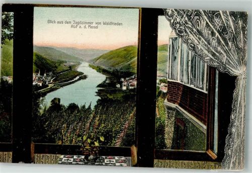 Alf Fenster vom Gasthaus Waldfrieden mit Panorama des Ortes an der Mosel