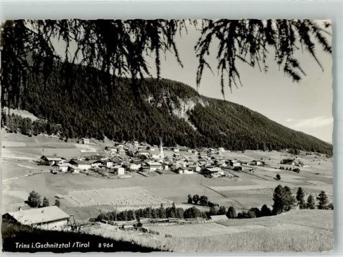 Trins 1966