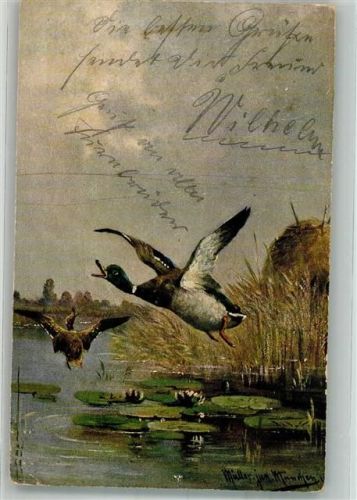 1906 Enten
