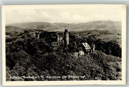 Auerbach Fliegeraufnahme Schloss Ruine