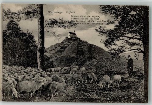 Wurmlingen Schäfer mit seinen Schafen unterhalb der Kapelle St. Remigius Verlag Sting 50209