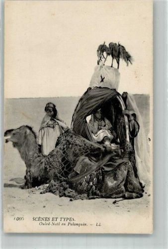 Nomadenstamm d. Ouled Nail Frauen Kamele