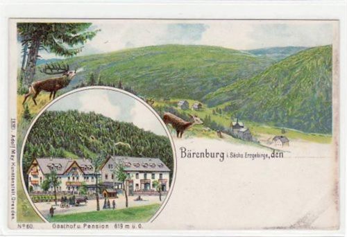 Bärenburg, Lithographie mit Waldpartie, Gasthof und Pension. ungelaufen um 1900 Ecken mit Albumabdrücken, Oxydationsspuren rechter Rand, sonst gut erhalten.