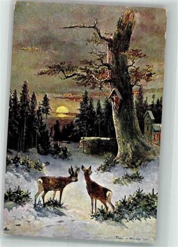 1910 Rehe bei Nacht Kunstverlag Rehn u. Linzen No. 112