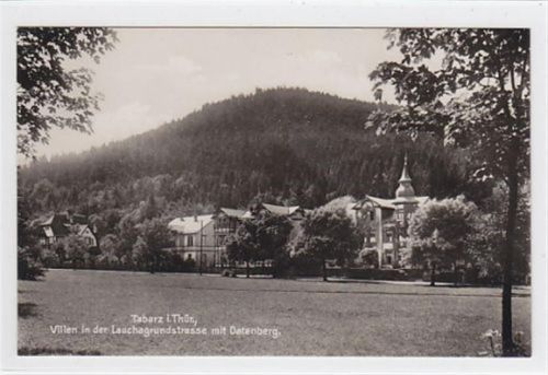 Tabarz Tabarz in Thüringen. Villen in der Lauchagrundstrasse Datenberg ungelaufen Top Erhaltung.