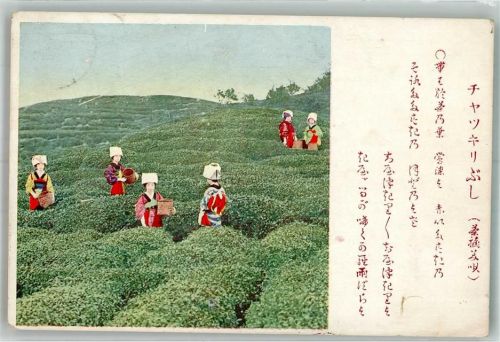 Tokyo 1934 Beruf Teefplückerinnen Tracht Ort lt. Stempel