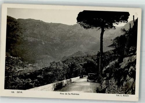Deià Auto Pino de Sa Pedrissa