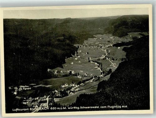 Buhlbach Fliegeraufnahme