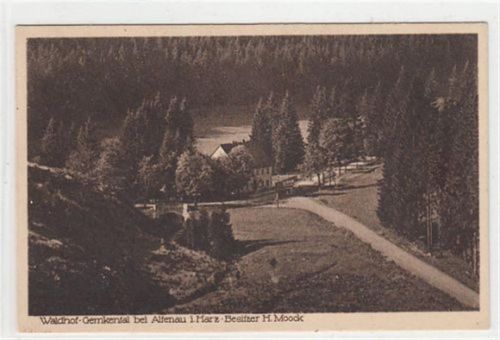 Altenau Waldhof - Gemkental bei Altenau ungelaufen Gute Erhaltung.