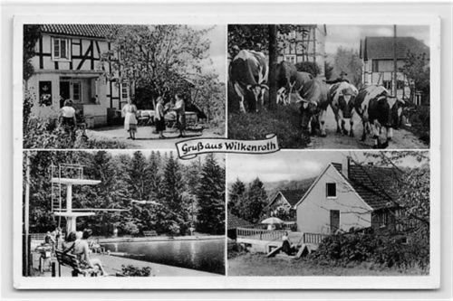 Wilkenroth mit Pension Herold, Schwimmbad und Straßenpartie mit Kühen gelaufen. Gute Erhaltung.