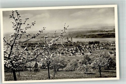 Weißenau Panorama des Ortes mit Münsterkirche St. Peter und Paul Fotograf Sterkel