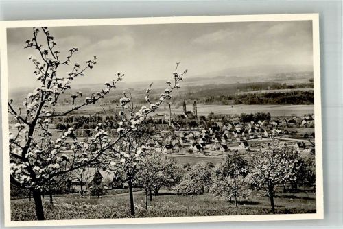 Weißenau Panorama des Ortes mit Münsterkirche St. Peter und Paul Fotograf Sterkel