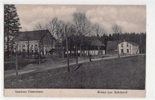 Schöneck Schöneck mit Gasthaus Tannenhaus ungelaufen Gute Erhaltung.