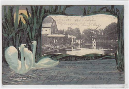 Gruss aus Bischofswerda mit Schwanenteich und Schwäne gelaufen 1904. Rückseite leicht fleckig, sonst gut erhalten.