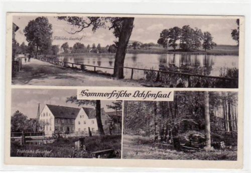 Ochsensaal mit Mühlenteich, Weg zum Quellental und Fröhlichs Gasthof gelaufen von 1943 kleiner Knick oben links und rechts, sonst gut erhalten.