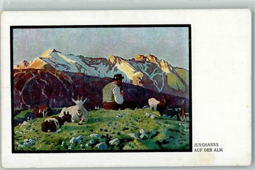 Nr. 119 sign. Junghanns Auf der Alm , Hirte mit Ziegen AK