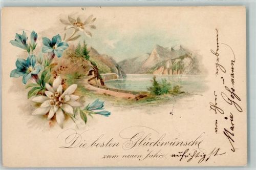 1898 Alpenflora Neujahr AK