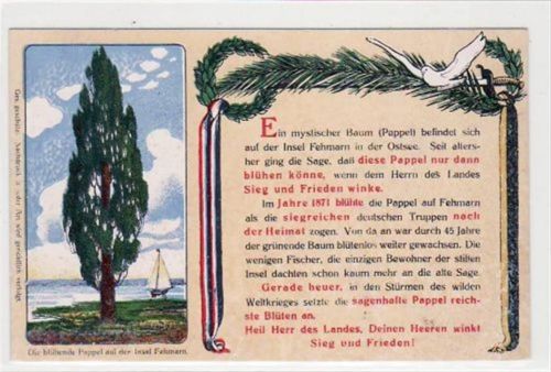 Fehmarn Insel Fehmarn mit blühender Pappel, Künstlerkarte ungelaufen Gute Erhaltung.