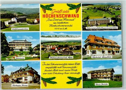 Höchenschwand Waldsanatorium Kurhaus Kurheim Krone Hotel Alpenblick Tannenzapfen