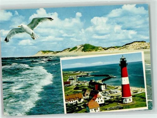 Hörnum Möwe Leuchtturm