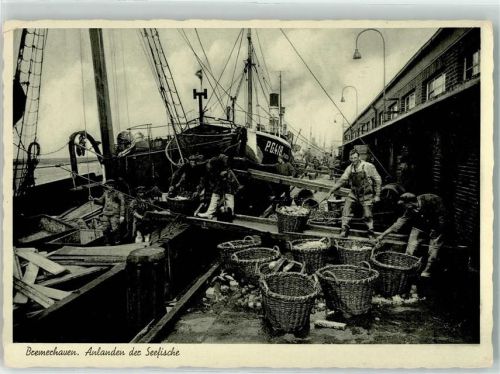 Bremerhaven Anlanden der Seefische Fischerboot