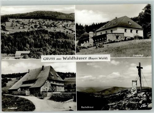94556 W8351 Waldhäuser - Ameishof Rachelkreuz Lindenhof Lusen