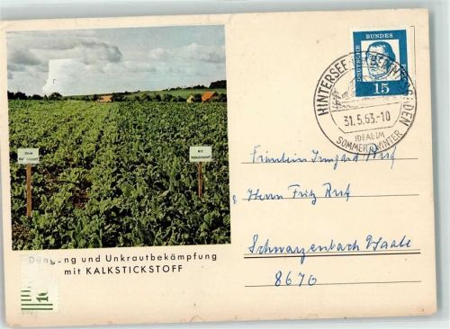 1963 Unkrautbekämpfung mit Kalkstickstoff