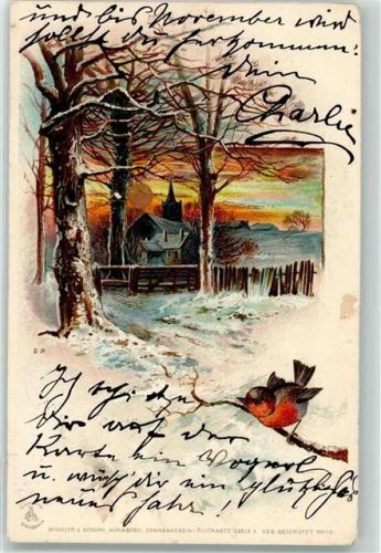 1903 Sonnenschein Karte Serie X Vogel Winterlandschaft AK