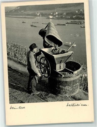 Weinlese Verlag Walter Niessen Nr. 7363 AK