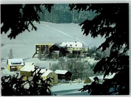 Bad Alexandersbad Gasthaus-Pension Riedelbauch Winter