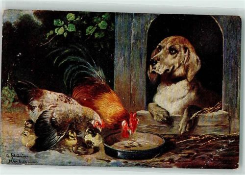 1911 Hunde Hundehütte Geflügel AK