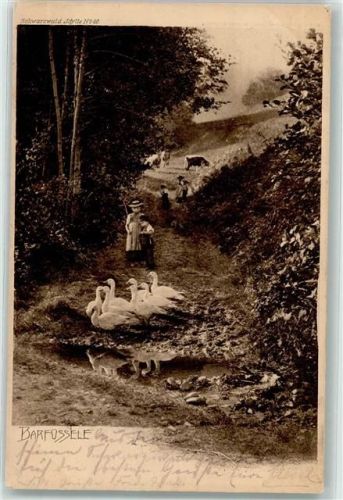 1905 Schwarzwald Idylle Nr. 40 Gänseliesl AK