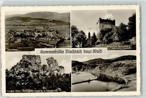 Viechtach Ruine Neunußberg Großer Pfahl