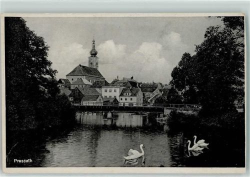 Pressath Kirche Schwan