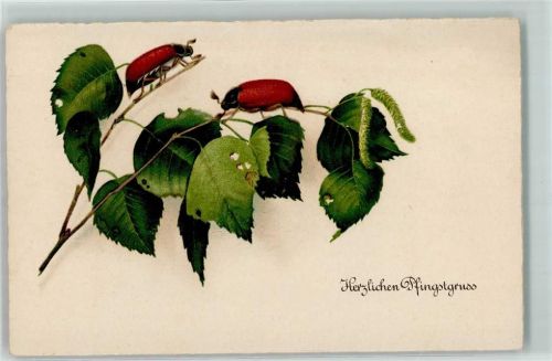 Ansichtskarte