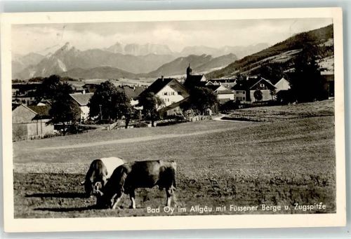 Oy mit Säuling und Zugspitze Kühe