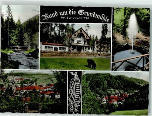 Marktschorgast Cafe Pension Grundmühle Bes. Alois Walter Pony Fontäne