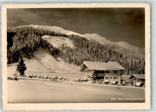 83727 W8162 Neuhaus b Schliersee Gebrauchsspuren Haus Schwarzdrossel Winter