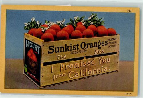 Früchte Sunkist-Orangen aus Kalifornien AK