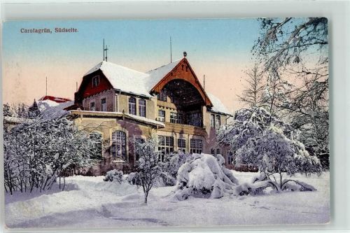 Auerbach Winter Carolagrün Südseite
