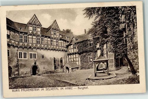 Burg Falkenstein Burghof