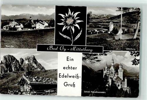 Oy Schloss Neuschwanstein Edelweiß Mittelberg Aggenstein