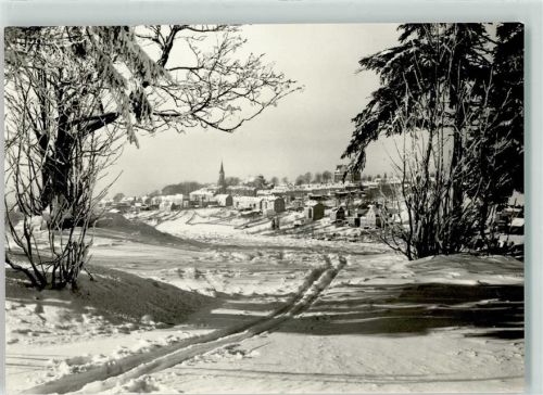 Schöneck Winter