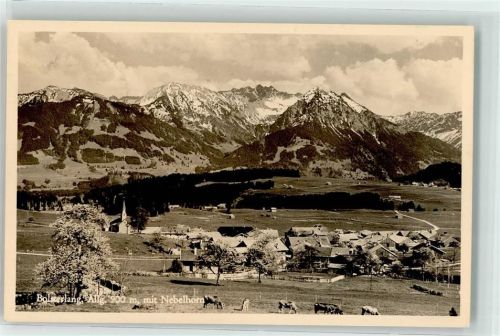 Bolsterlang mit Nebelhorn Kühe
