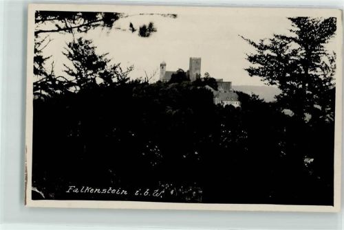 93167 W8411 Falkenstein , Oberpf Foto AK Burg