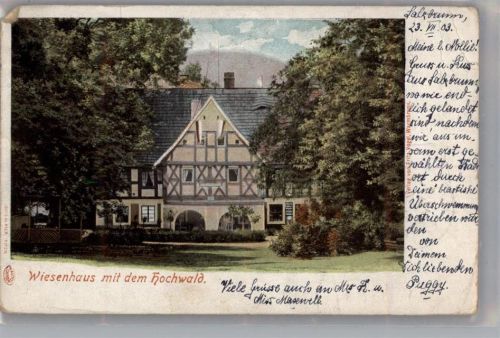 Bad Salzbrunn 1903 Wiesenhaus mit dem Hochwald Lithographie