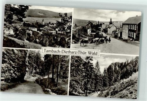 Tambach-Dietharz Kirche Kühe