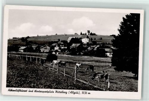 Mittelberg Rinderweide