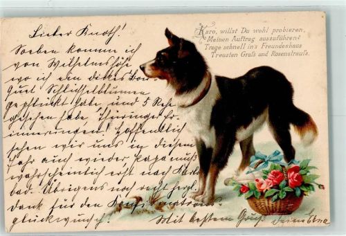 1901
